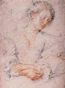 Peter Paul Rubens The Girl china oil painting artist